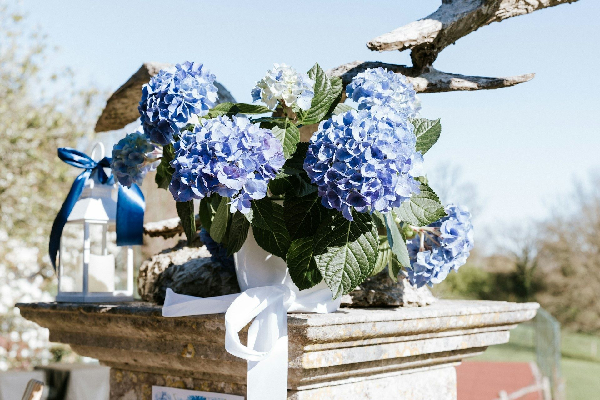 Blue hydrangea arrangement in the venue gardens