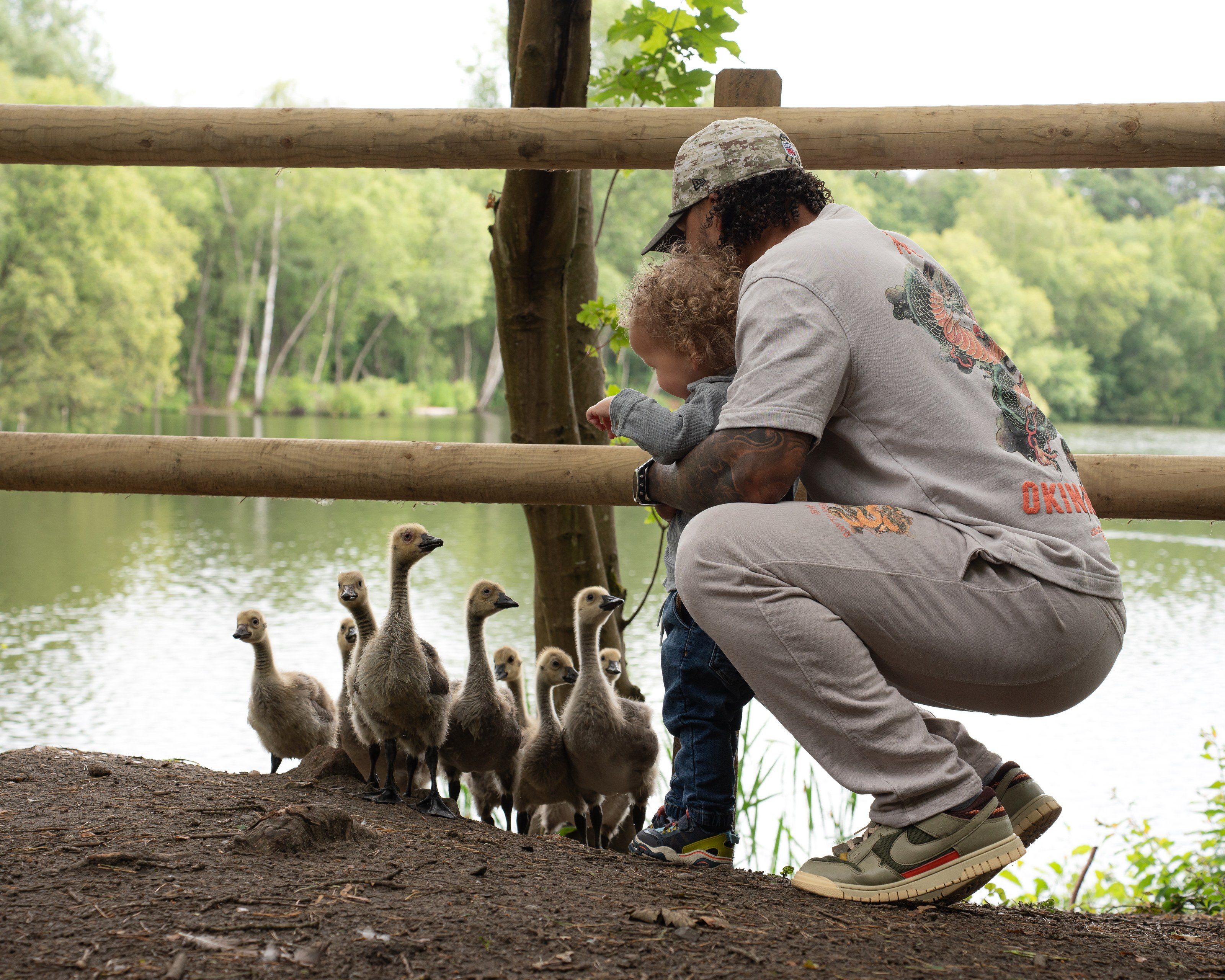 Father crouches with his toddler to watch the geese at the lakeside