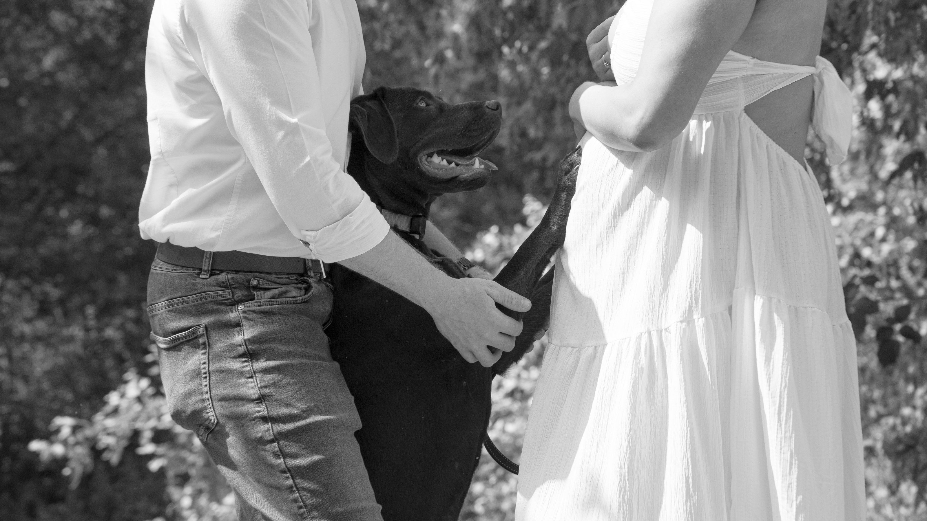 Expectant couple in the woodland with their dog, in black and white