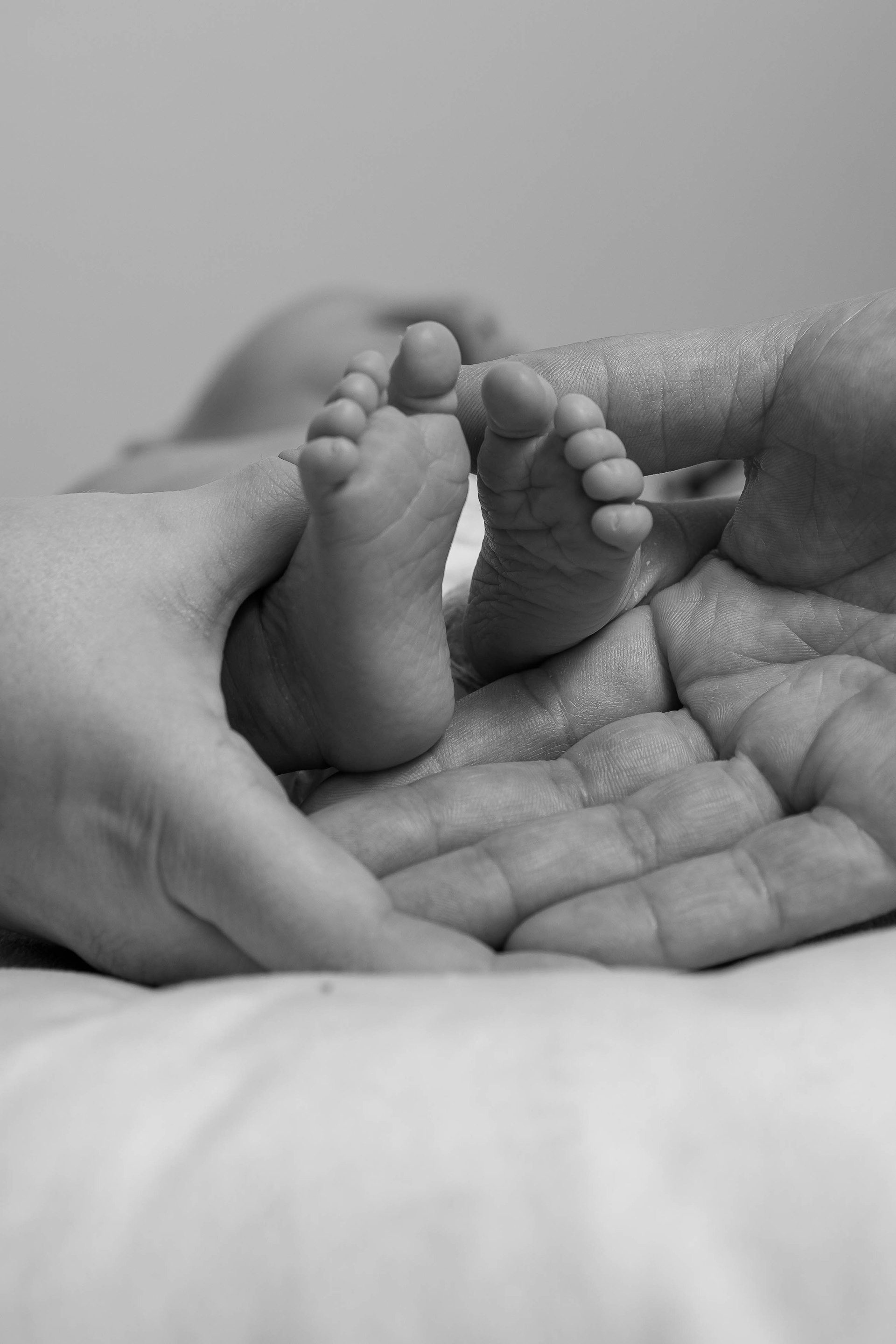 Newborn feet held gently, in black and white
