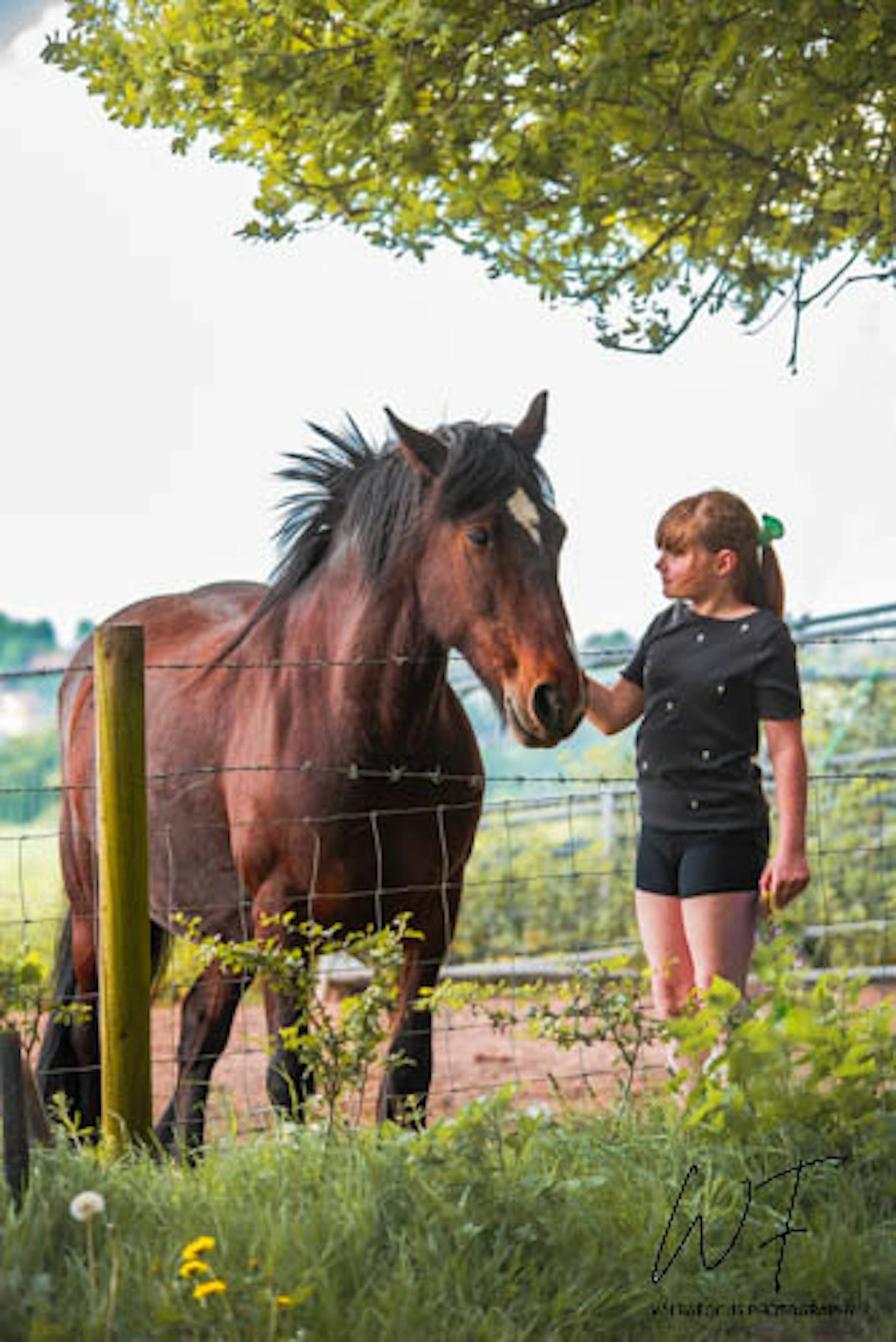 Young woman stands beside a horse at a field fence