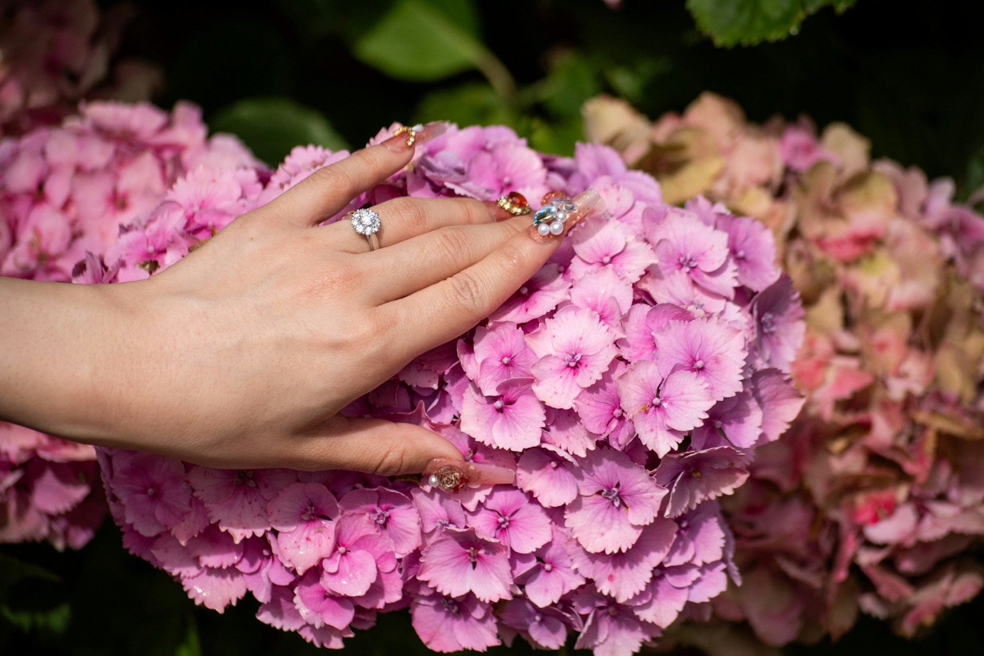 Wedding rings resting on pink hydrangea
